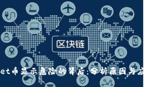 tpWallet币显示危险的背后：分析原因与应对策略