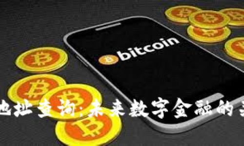 虚拟币地址查询：未来数字金融的关键工具