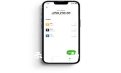 解决tpWallet不显示金额的常见问题与处理方法