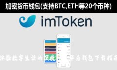 体验数字生活的便捷——华为钱包下载指南