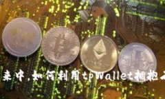 在去中心化的未来中，如何利用tpWallet拥抱石化行
