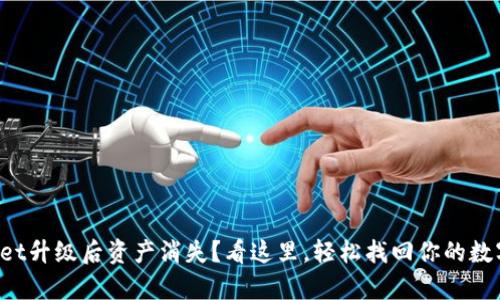 tpWallet升级后资产消失？看这里，轻松找回你的数字资产！
