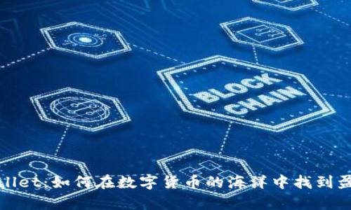 揭秘tpWallet：如何在数字货币的海洋中找到盈利的航道