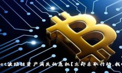 如何应对tpWallet波场链资产消失的危机？立即采取