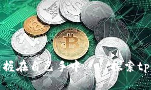 让你的数字资产掌握在自己手中——探索tpWallet的无穷可能