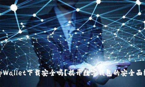 tpWallet下载安全吗？揭开数字钱包的安全面纱