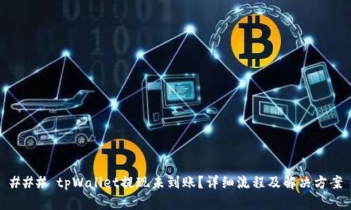 ### tpWallet提现未到账？详细流程及解决方案