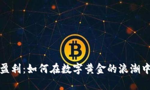 探索币圈盈利：如何在数字黄金的浪潮中获得财富