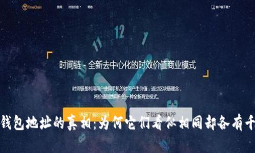 冷钱包地址的真相：为何它们看似相同却各有千秋