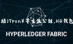 tpWallet的HD（Hierarchical Deterministic）钱包支持多条