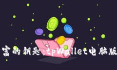 掌握数字财富的钥匙：tpWallet电脑版全方位解析