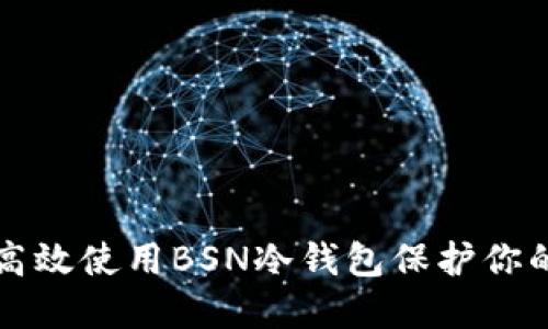 如何安全高效使用BSN冷钱包保护你的数字资产