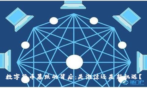 数字货币暴跌的背后：是泡沫还是新机遇？