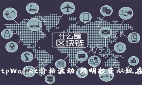 掌握tpWallet价格波动，精明投资从现在开始