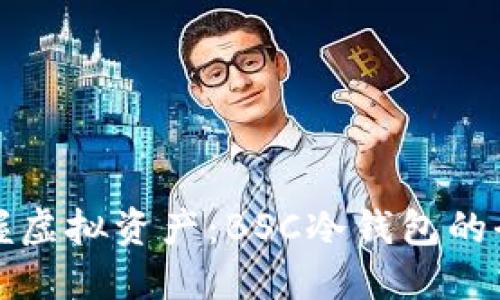 安全掌握虚拟资产：BSC冷钱包的全面指南