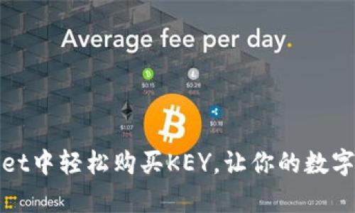 如何在tpWallet中轻松购买KEY，让你的数字资产更有价值