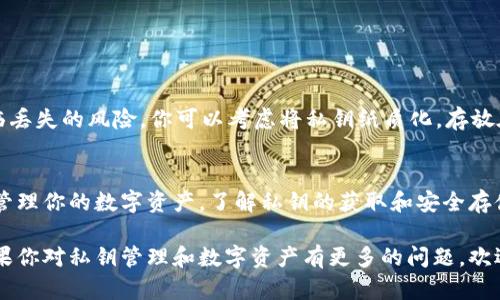 私钥是数字货币钱包中至关重要的部分，它代表着你对数字资产的绝对控制权。在深入了解如何通过TP观察钱包查看私钥之前，我们需要先明确一些基本概念。

什么是私钥？
私钥就像是你数字资产的“金库钥匙”。持有这个钥匙的人可以完全控制与其关联的数字货币，如果没有它，你将无法访问或管理你的资产。想象一下，一个巨大的金库，它的门被锁上，只有手中握有那把独特钥匙的人，才能打开这扇门。私钥在数字货币领域的作用完全可以与这把钥匙相提并论。

TP观察钱包简介
TP观察钱包（通常是那些能够查看数字货币余额和交易记录但不提供直接管理私钥功能的钱包）是用户了解其资产情况的一种工具。它们提供了一个安全的环境，让用户可以监控和观察他们的加密资产，而无需暴露和管理私钥。这类钱包常常被称为“观察型钱包”。

TP观察钱包中的私钥信息
虽然TP观察钱包允许用户查看与其钱包地址关联的资产信息，但大部分情况下，用户并不能直接查看私钥。原因在于，TP观察钱包的设计初衷就是为了提高安全性，防止私钥泄露给恶意用户。将私钥保存在安全的环境中是保护数字资产的最佳方式之一。

如何使用观察钱包获取私钥信息
如果你需要查看钱包的私钥，通常需要导入或转换到一些能够访问私钥的全功能钱包。具体步骤如下：
ol
    li下载一个全功能的钱包应用，比如Electrum或MyEtherWallet。/li
    li根据你的资产类型，创建一个新的钱包或选择导入已有钱包。/li
    li在相关的界面中输入由TP观察钱包生成的助记词或恢复密钥。/li
    li完成后，你会看到你的资产信息同时也能够访问到私钥。/li
/ol

安全存储私钥
当你成功查看了你的私钥后，确保你以安全的方式存储它。这一点极其重要，因为一旦他人获取了你的私钥，你的资产将面临丢失的风险。你可以考虑将私钥纸质化，存放在一个安全的地方，或使用硬件钱包等高安全性设备。

总结
私钥是数字货币资产的关键所在，而TP观察钱包则为用户提供了一个安全的方式来查看自己的资产状况。如果你希望深入管理你的数字资产，了解私钥的获取和安全存储技巧尤为重要。通过安全的方法管理你的私钥，能够有效保护你的资产安全。

这样一个结构化的内容不仅让读者理解了TP观察钱包与私钥的关系，也通过生动的比喻帮助他们更好地掌握相关知识。如果你对私钥管理和数字资产有更多的问题，欢迎继续提问。