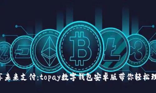 畅享未来支付：topay数字钱包安卓版带你轻松理财！