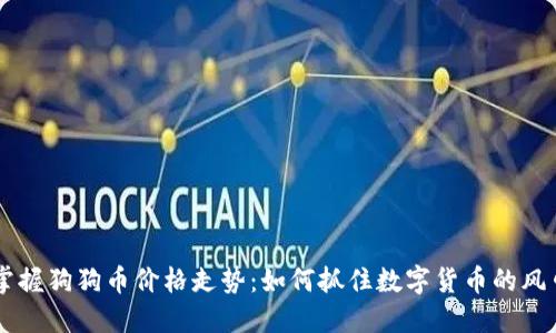 掌握狗狗币价格走势：如何抓住数字货币的风口