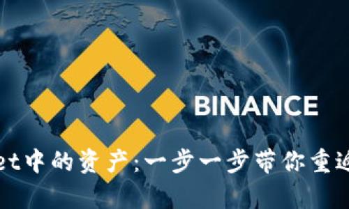 如何找回tpWallet中的资产：一步一步带你重返数字财富的殿堂