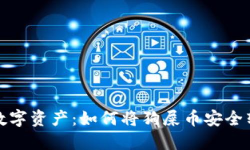 保护你的数字资产：如何将狗屎币安全转入冷钱包