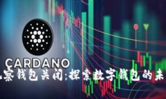 tpWallet观察钱包关闭：探索数字钱包的未来与安全