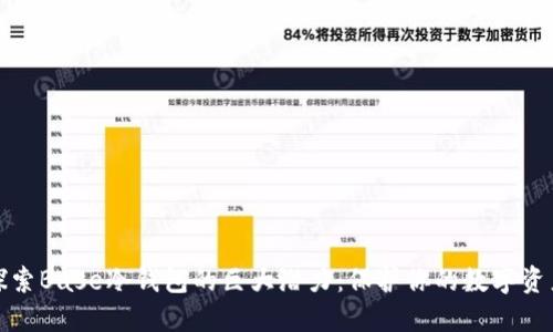 探索Base冷钱包的巨大潜力：保护你的数字资产