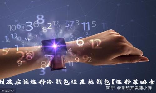 提币到底应该选择冷钱包还是热钱包？选择策略全解析！