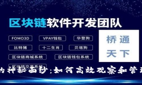 揭开tpWallet的神秘面纱：如何高效观察和管理您的数字钱包