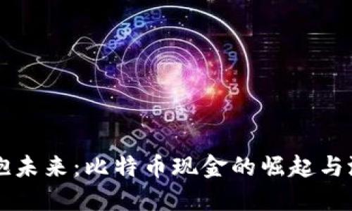 拥抱未来：比特币现金的崛起与潜力