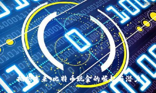 拥抱未来：比特币现金的崛起与潜力