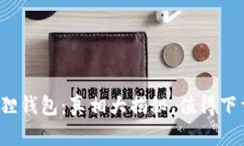 小狐狸钱包：真相大揭秘，值得下载吗？