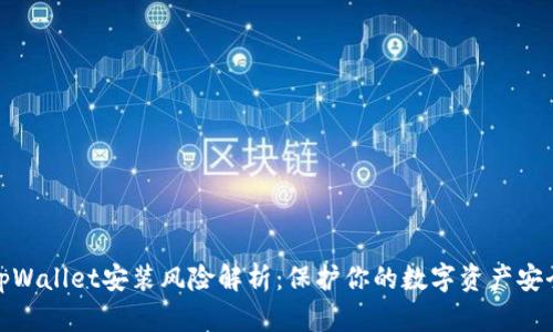 tpWallet安装风险解析：保护你的数字资产安全