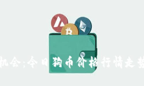 抓住机会：今日狗币价格行情走势分析