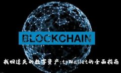 找回遗失的数字资产：tpWallet的全面指南