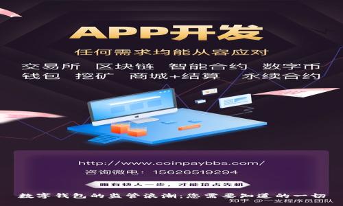 数字钱包的监管浪潮：您需要知道的一切