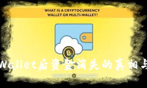 提币到tpWallet后资金消失的真相与解决方案
