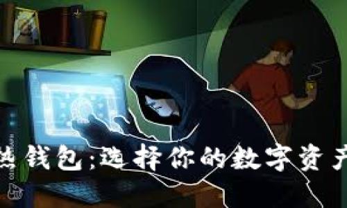 冷钱包与热钱包：选择你的数字资产保护之道