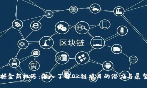 掘金新机遇：深入了解OK链项目的潜力与展望