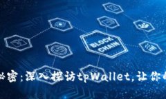 揭开比特币钱包的秘密：深入探访tpWallet，让你的