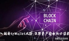 深入剖析tpWallet风险：保障资产安全的必读指南
