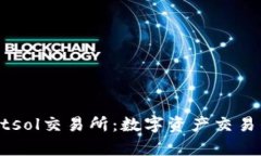 tpWalletsol交易所：数字资产交易的新风口