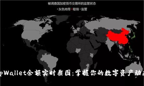 tpWallet余额实时截图：掌握你的数字资产动态