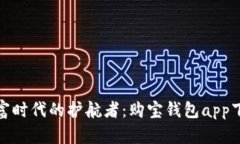 数字财富时代的护航者：购宝钱包app下载详解