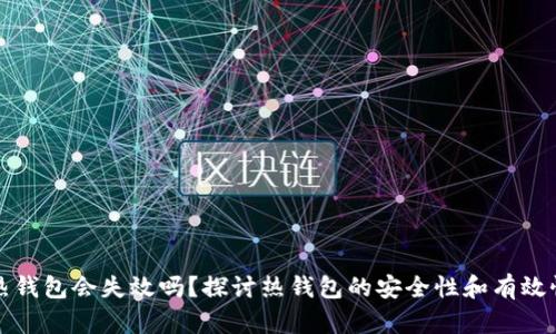热钱包会失效吗？探讨热钱包的安全性和有效性
