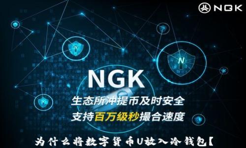 
为什么将数字货币U放入冷钱包？