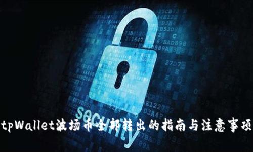 tpWallet波场币全部转出的指南与注意事项