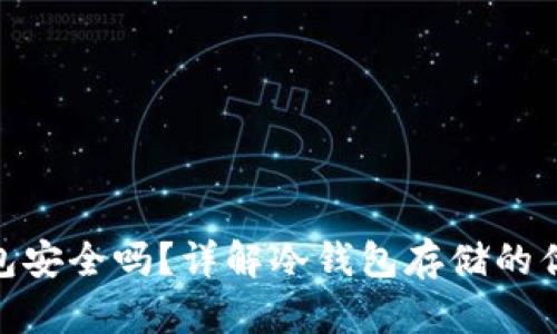 储存冷钱包安全吗？详解冷钱包存储的优势与风险