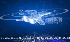 如何将tpWallet导入BSC：详细指南与常见问题解答