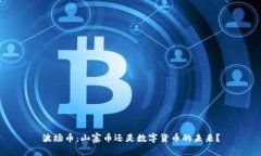 波场币：山寨币还是数字货币的未来？
